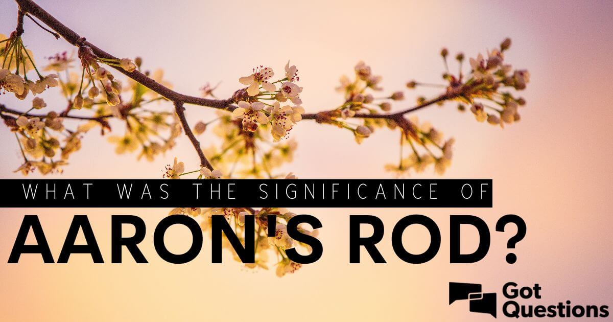 What was the significance of Aaron’s rod? | GotQuestions.org