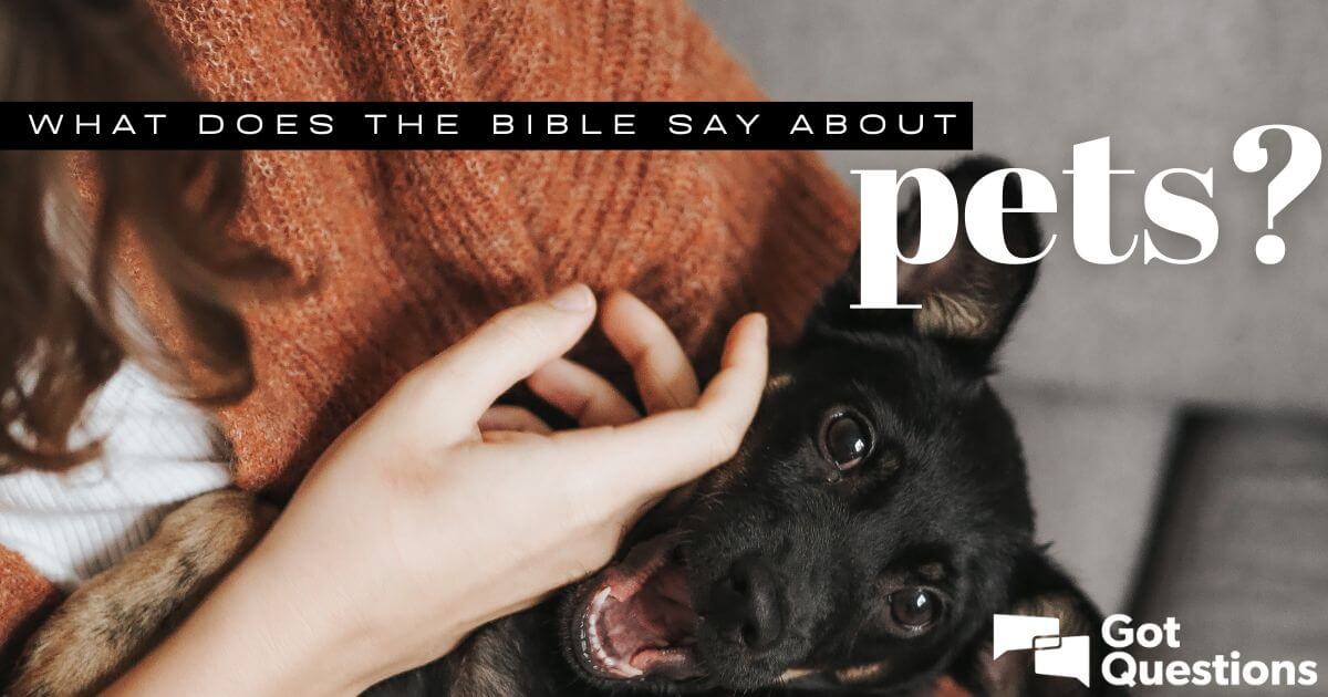 What does the Bible say about pets? 
