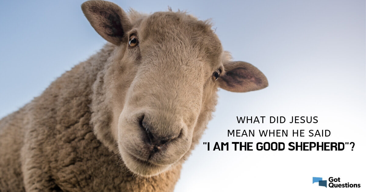 What did Jesus mean when He said, “I am the good Shepherd?” |  GotQuestions.org