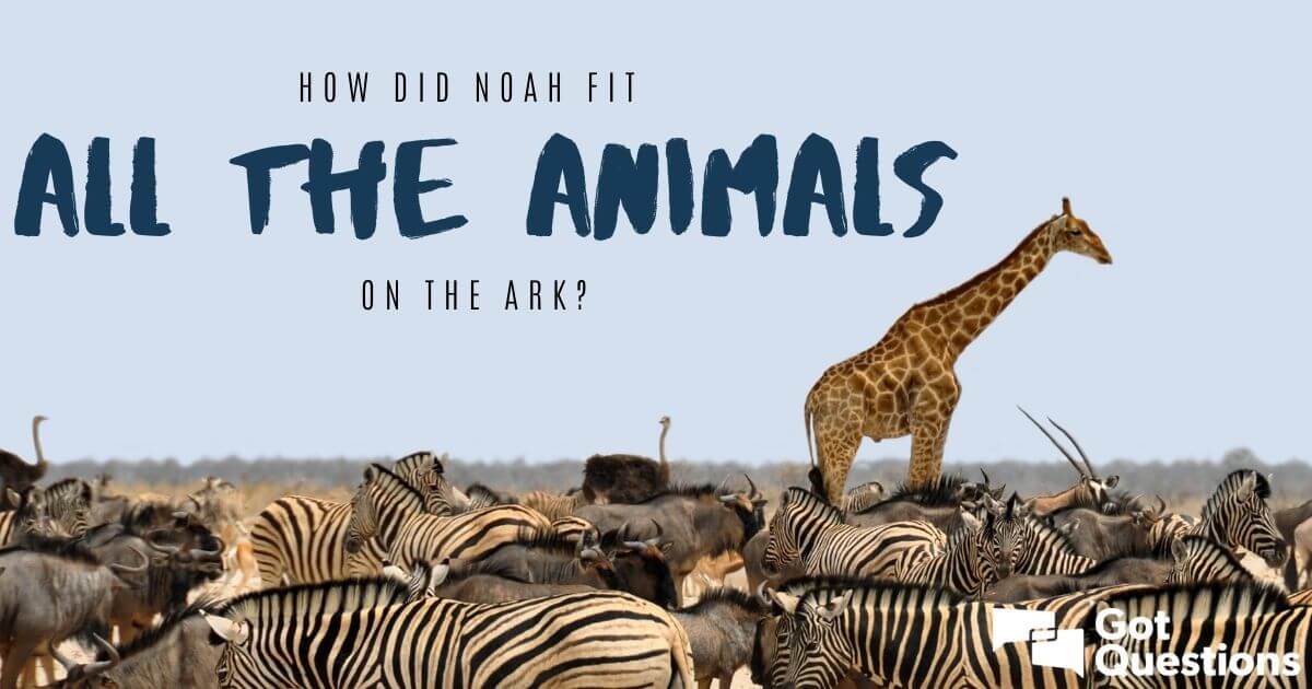 Noahs ark animals