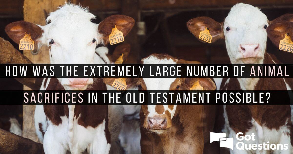 How was the extremely large number of animal sacrifices in the Old  Testament possible? 