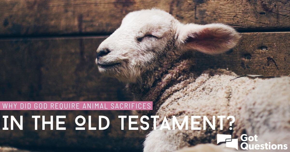 Why did God require animal sacrifices in the Old Testament? |  