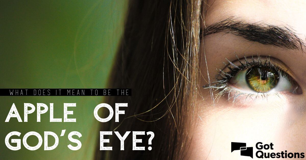 baba tarafından netice Düzenli  What does it mean to be the apple of God's eye? | GotQuestions.org