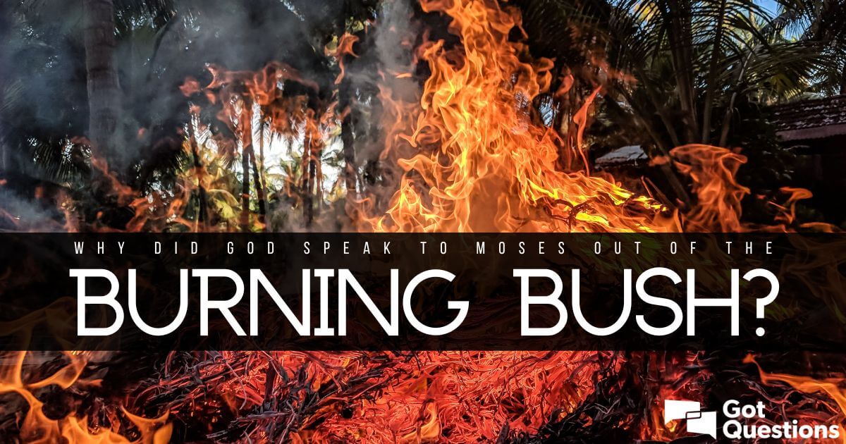 Why did God speak to Moses out of the burning bush? | GotQuestions.org