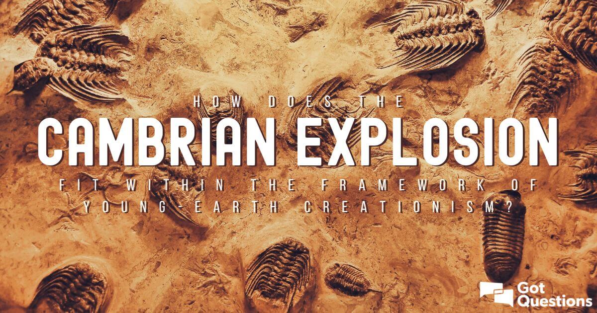 How does the Cambrian Explosion fit within the framework of young-earth  creationism? 