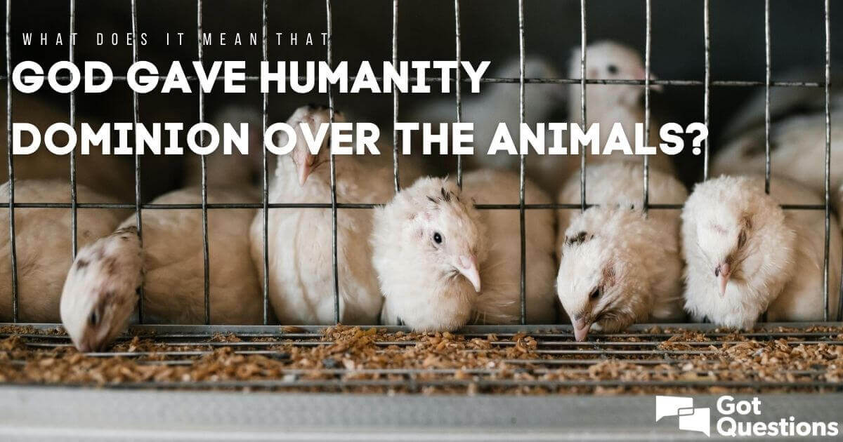What does it mean that God gave humanity dominion over the animals? |  