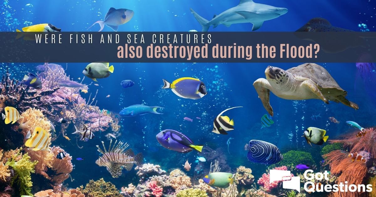 Were fish and sea creatures also destroyed during the
