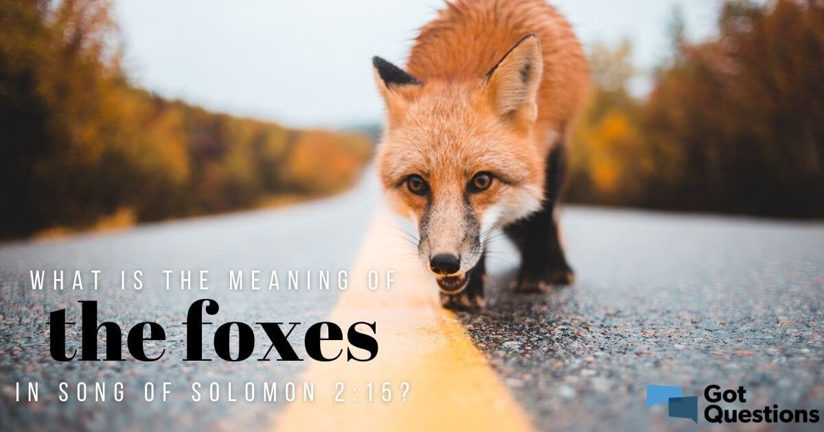 What is the meaning of the foxes in Song of Solomon 2:15? 