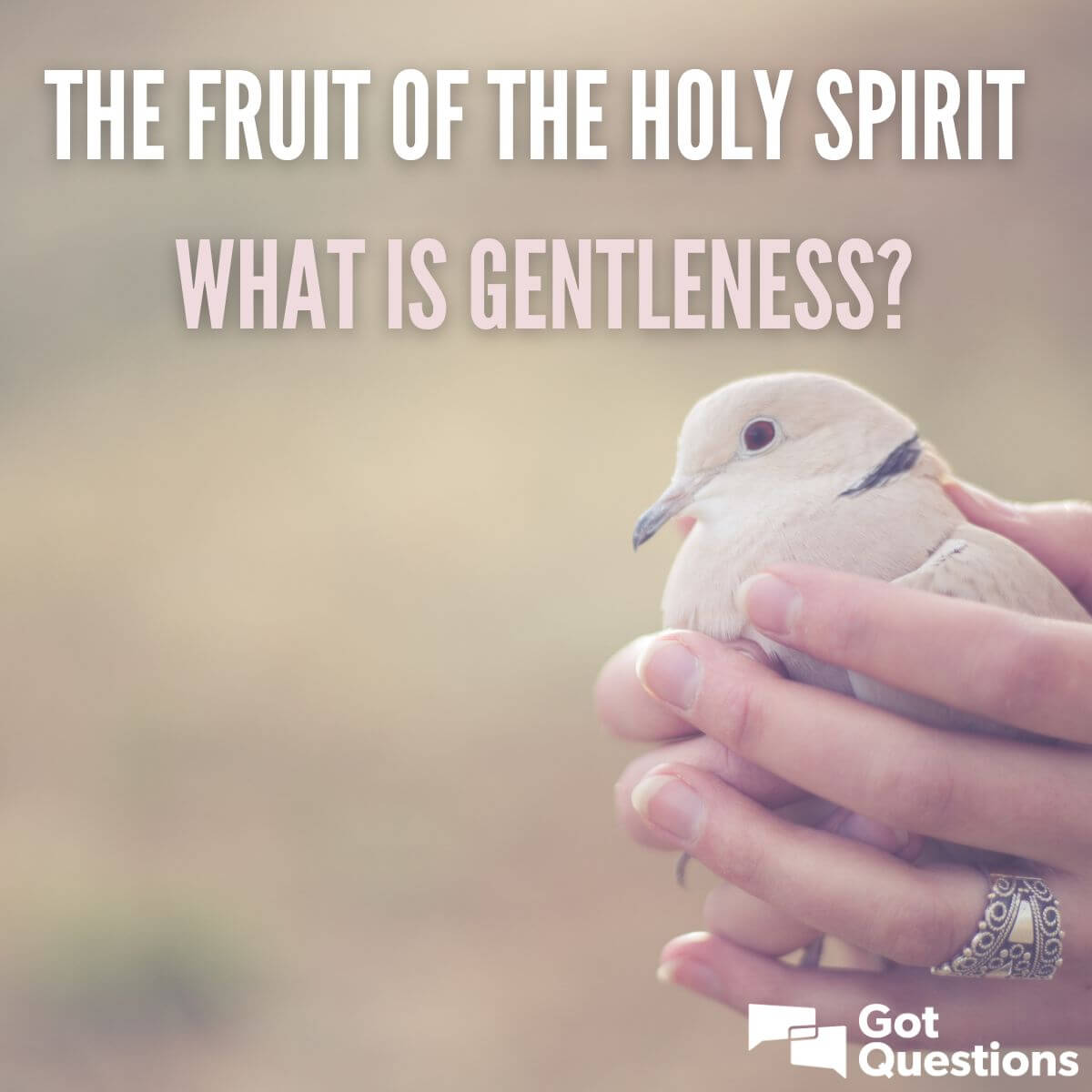 article on gentleness