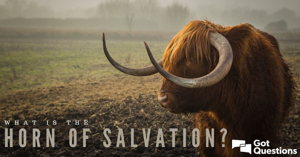 Para aumentar Operación posible mensaje What is the horn of salvation? | GotQuestions.org