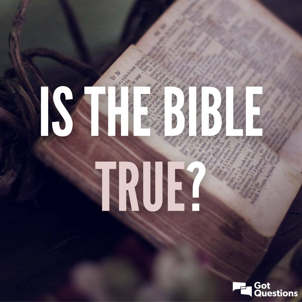 Is The Bible Important