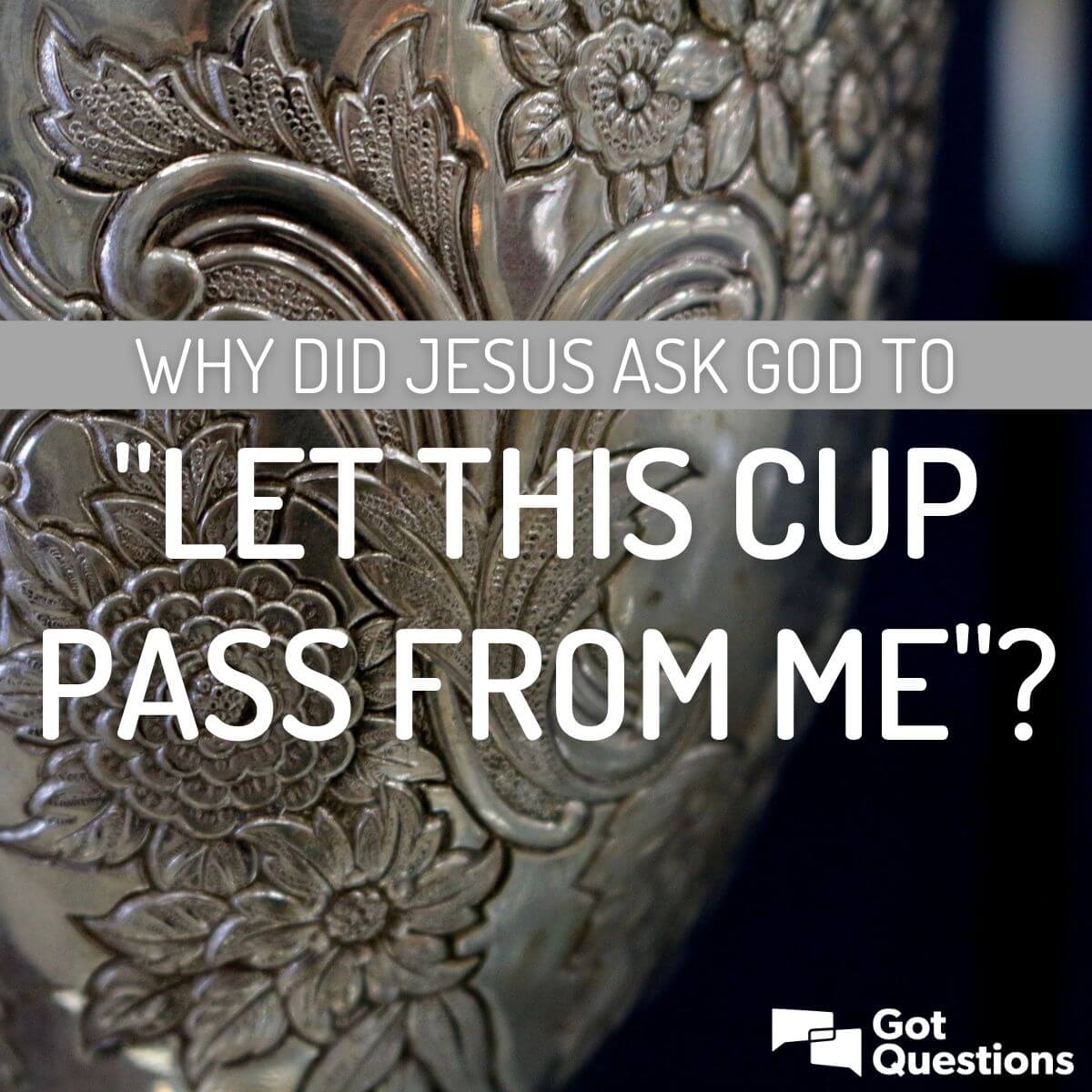 What Is the Cup That Jesus Wants His Father to Take Away?