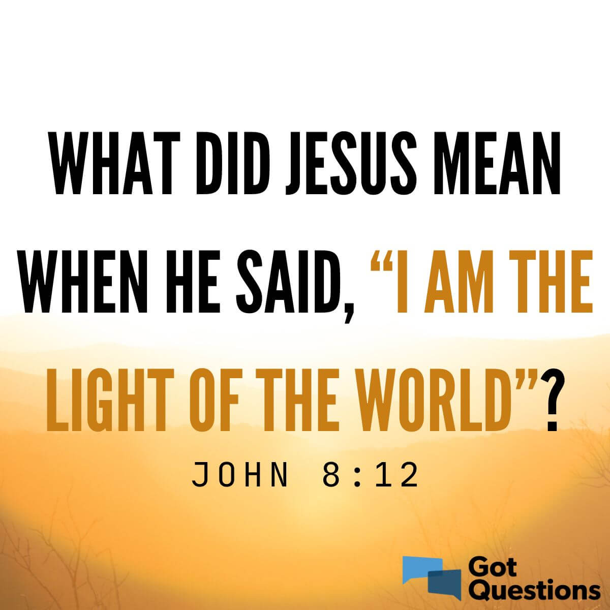 What did Jesus mean when He said, “I am Light of the (John 8:12)? | GotQuestions.org