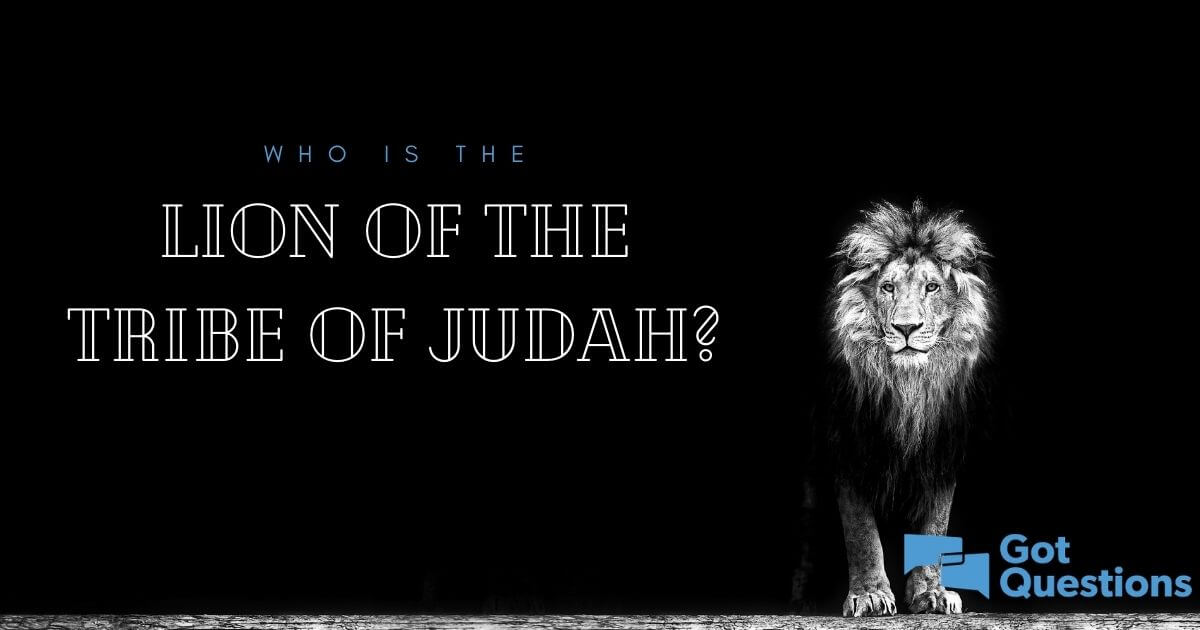 Lion Of Judah Black And White