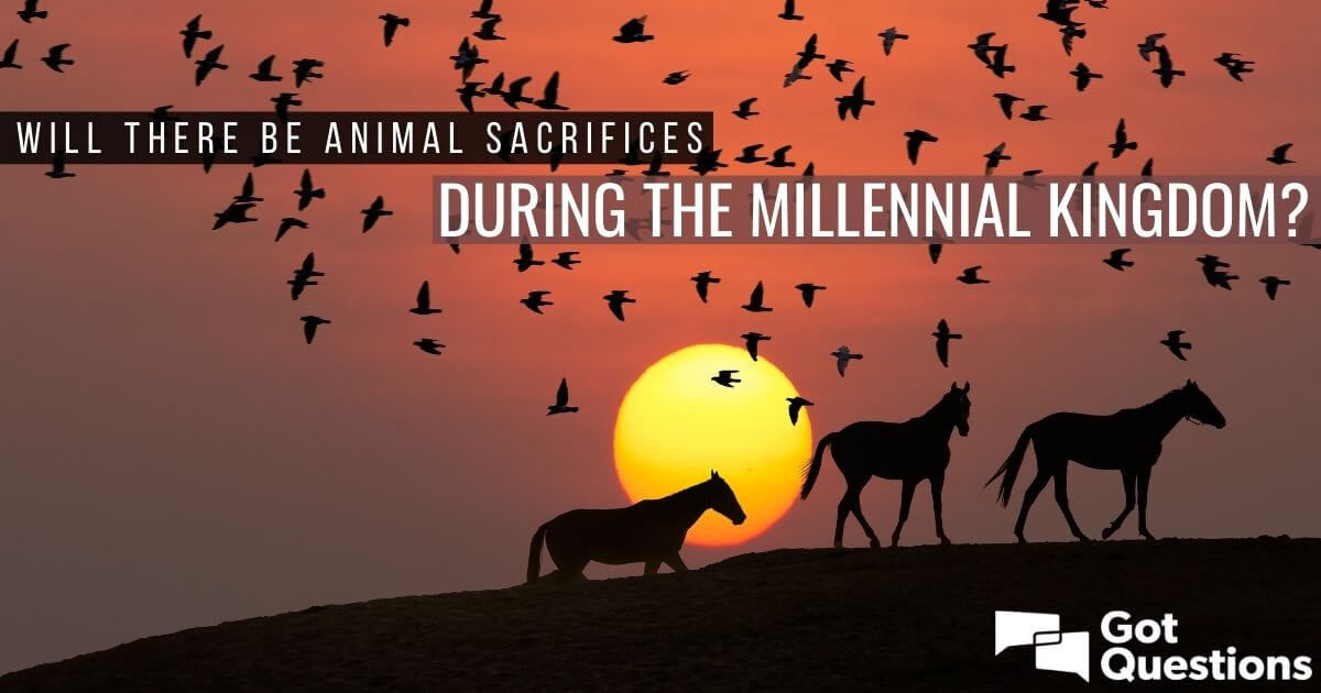 Why are the animal sacrifices resumed during the millennium?