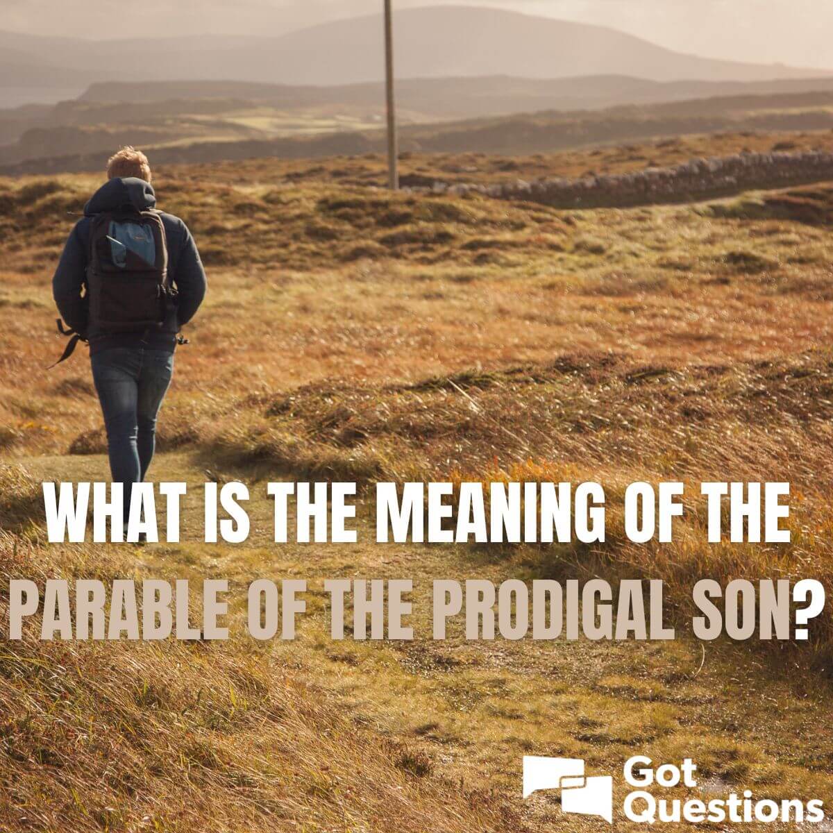 What Does Prodigal Mean In The Bible Quick Answer Missional Manifesto