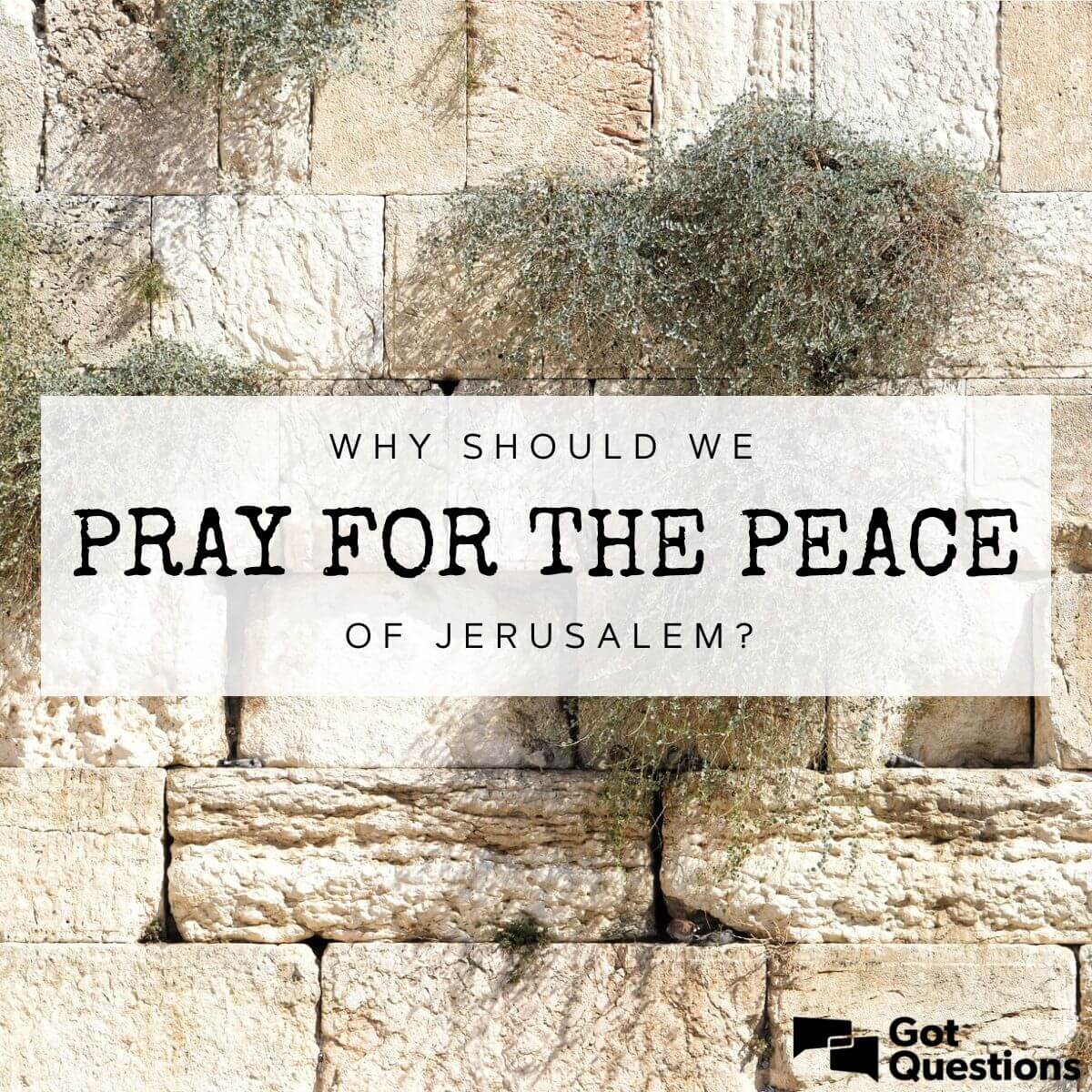 THEY SHALL PROSPER THAT LOVE JERUSALEM Shalom Y'Israel! We pray