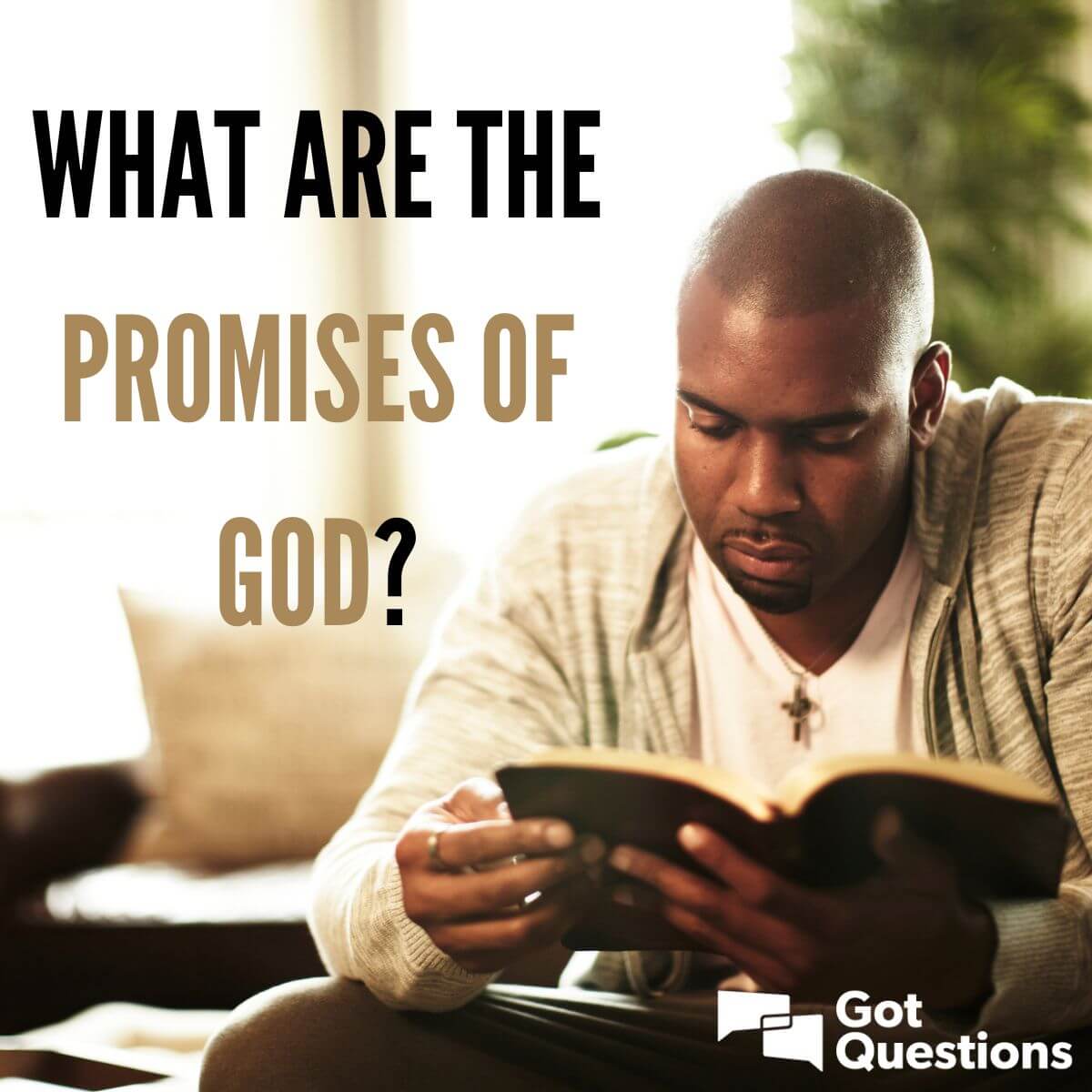 100 Promises Of God