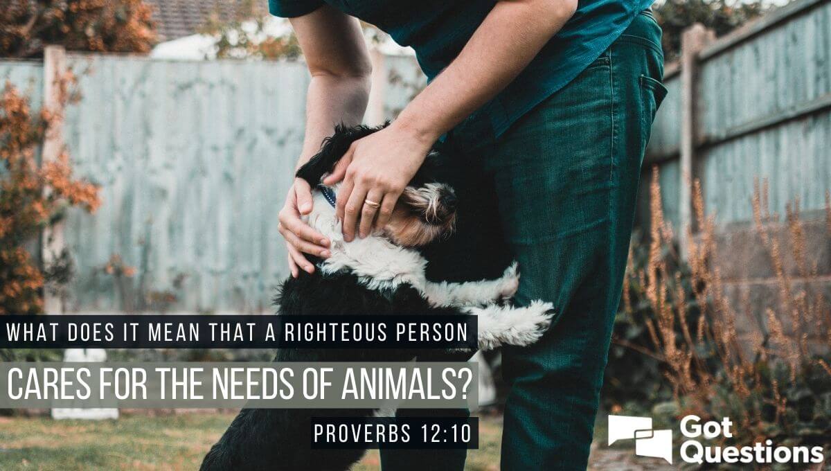 What does it mean that a righteous person cares for the needs of animals  (Proverbs 12:10)? 