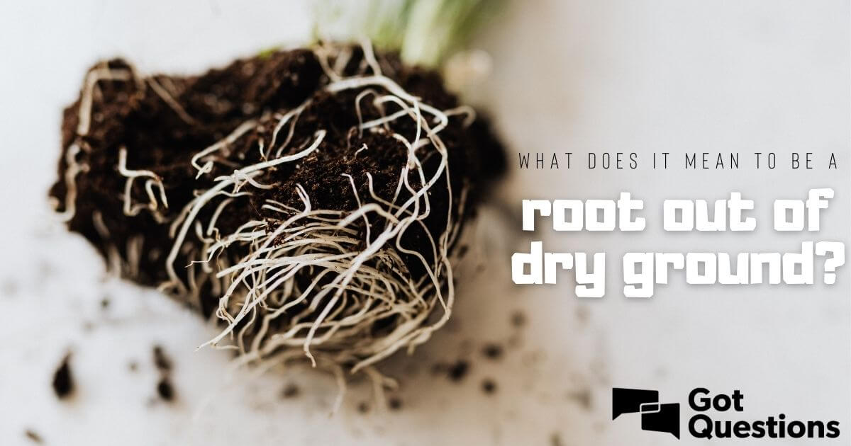 What does it mean to be a root out of dry ground (Isaiah 532