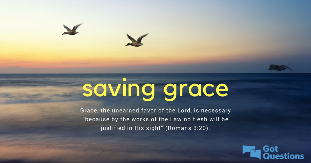 Image result for Romans 3:20