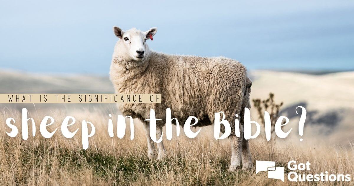 What is the significance of sheep in the Bible? 