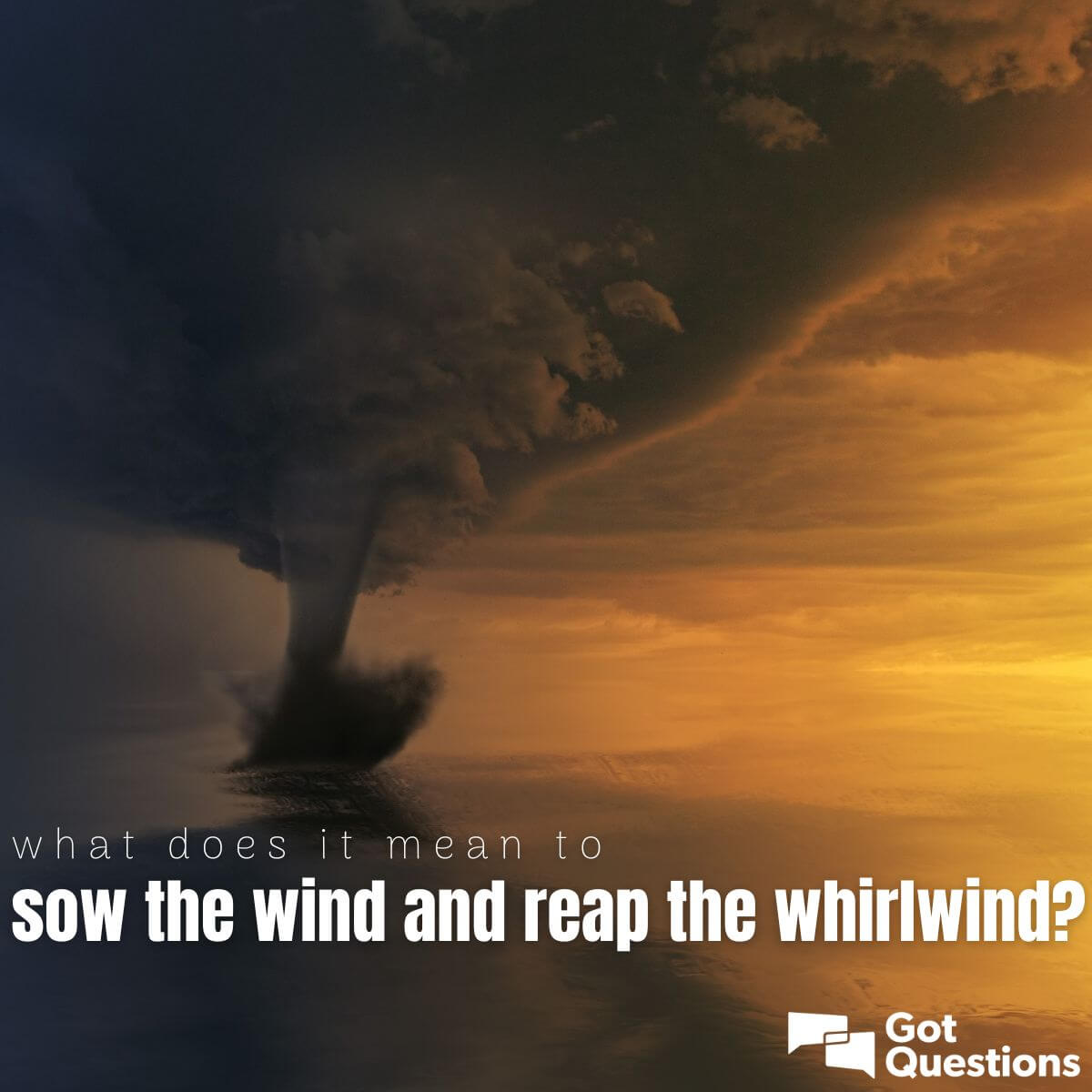 What does it mean to sow the wind and reap the whirlwind