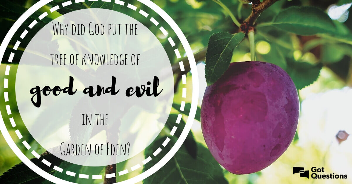 ¿Qué clase de fruto había en el árbol del conocimiento?