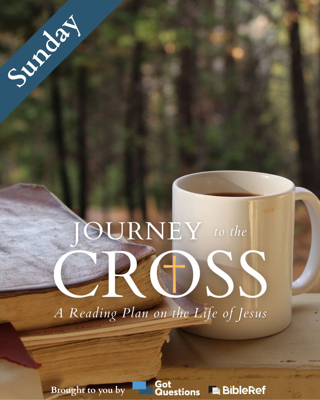 Easter Bible reading plan