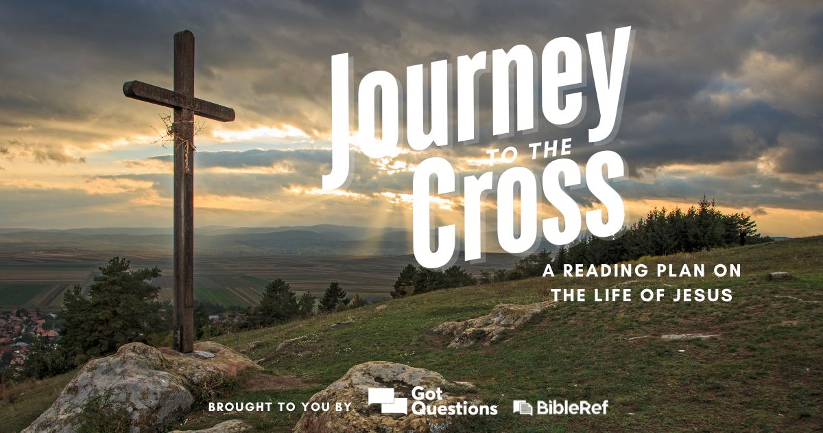 Bible reading plan
