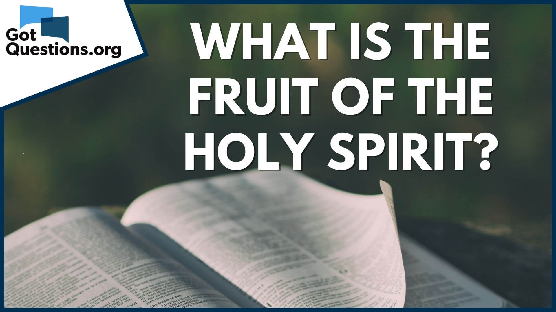 Making love with the holy spirit What Is The Fruit Of The Holy Spirit Gotquestions Org